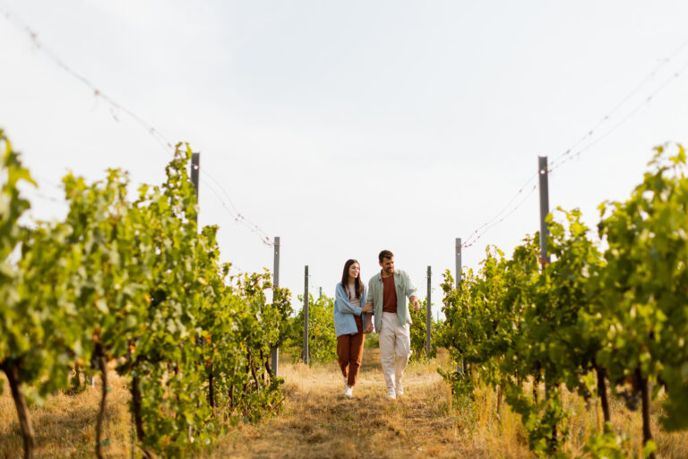 Couple de jeunes voyageurs se tenant la main dans les vignes